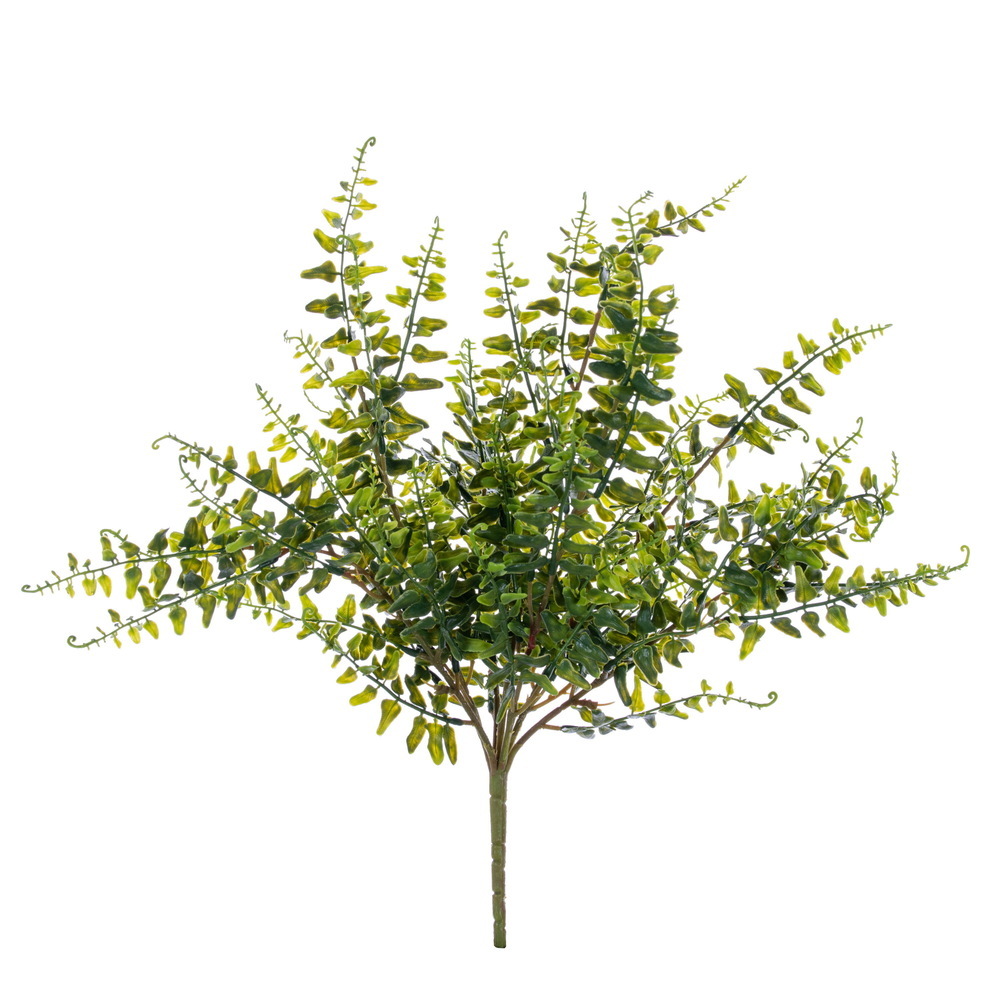 20" Green Buckler Fern Bush UV 2/Bag