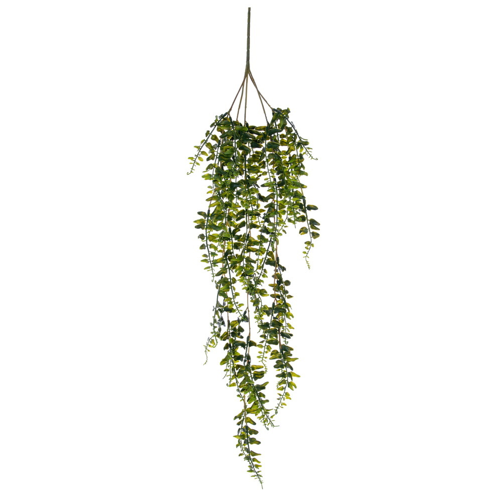 31" Green Buckler Fern Vine UV 2/Bag