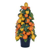 22" Lemon, Orange, & Salal Leaf Tree