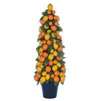 36" Lemon, Orange, & Salal Leaf Tree