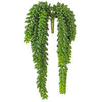13" Donkey Tail Bush X 14 W/1311 Bean