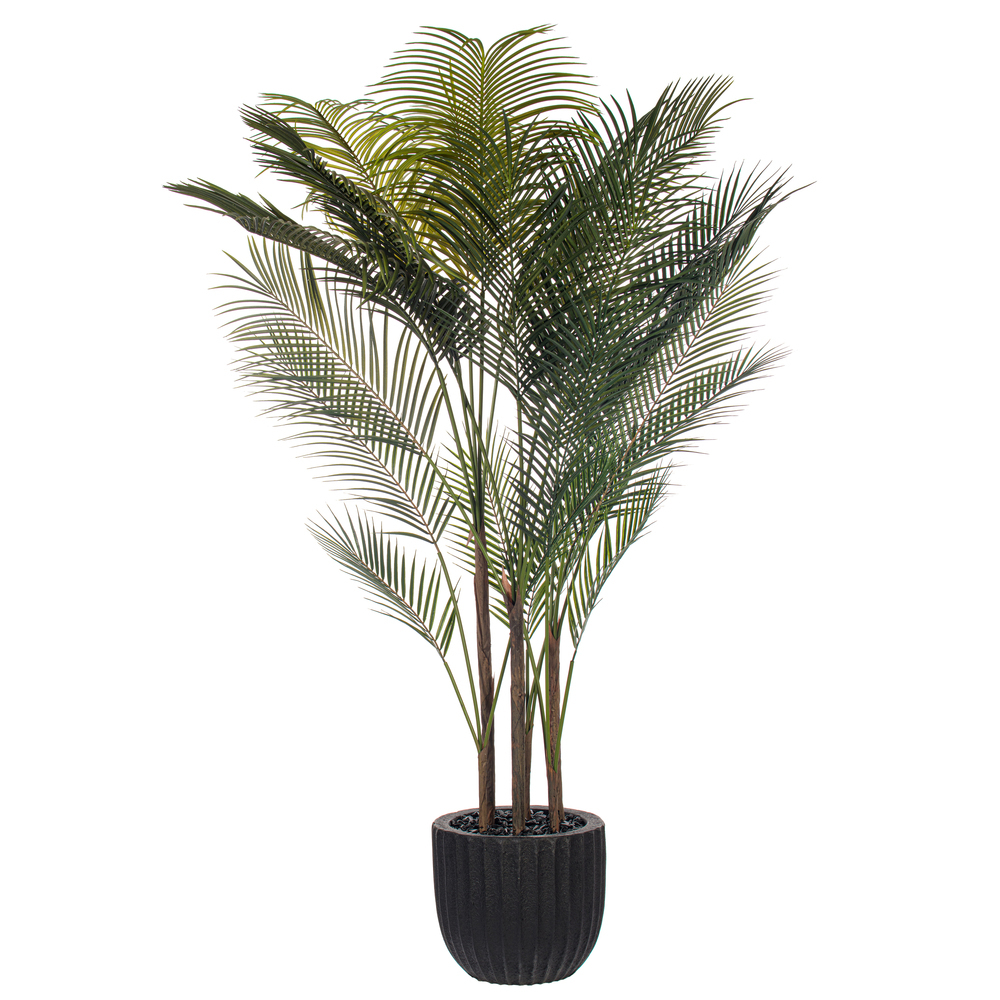 72" Green Areca Palm Potted UV