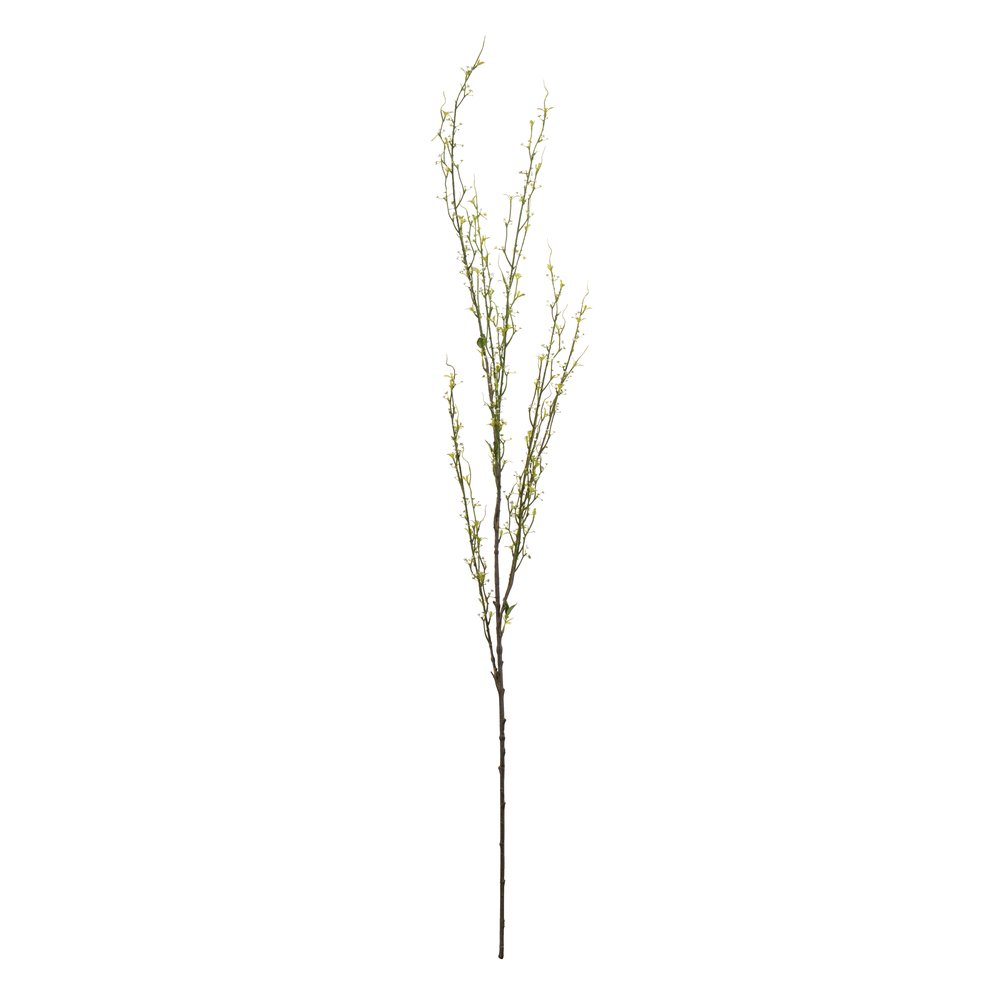 50" Green Mountain Prunus Stem 3/Pk