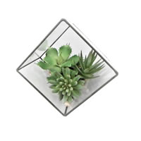 Vickerman Artificial Succulent and Terrarium Arrangement