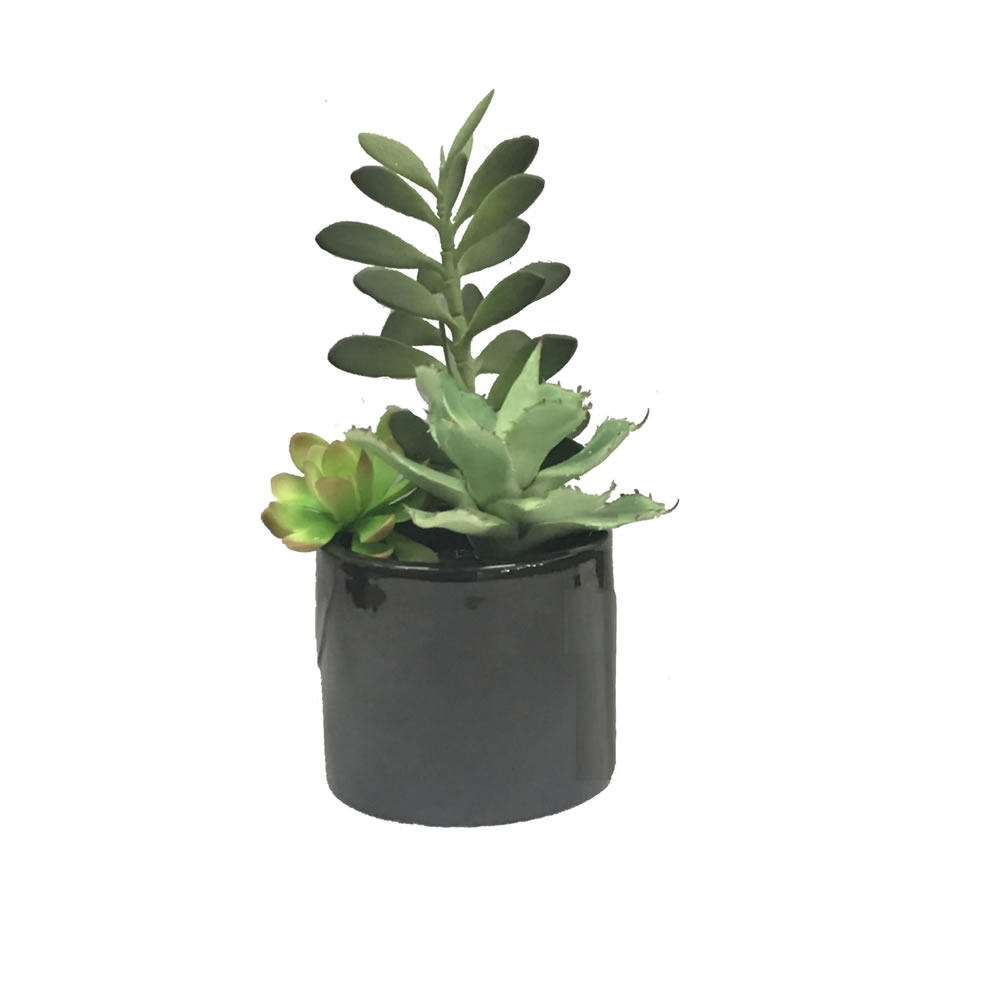 Vickerman Artificial Potted Succulents