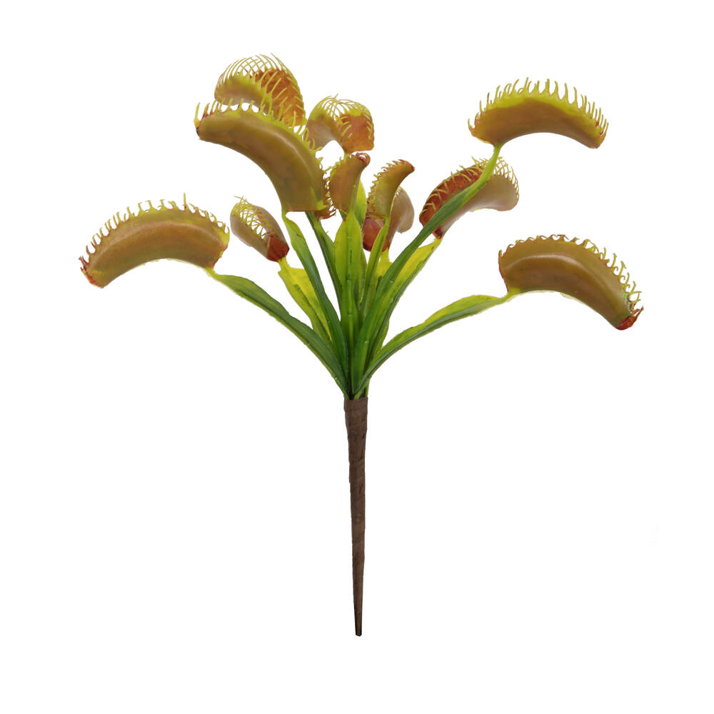 12" Green Venus Flytrap Plant 3/pk