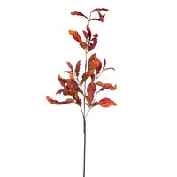 Vickerman 44.5" Dried Pomelo Leaves Spray