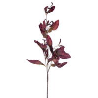 Vickerman 44.5" Dried Pomelo Leaves Spray