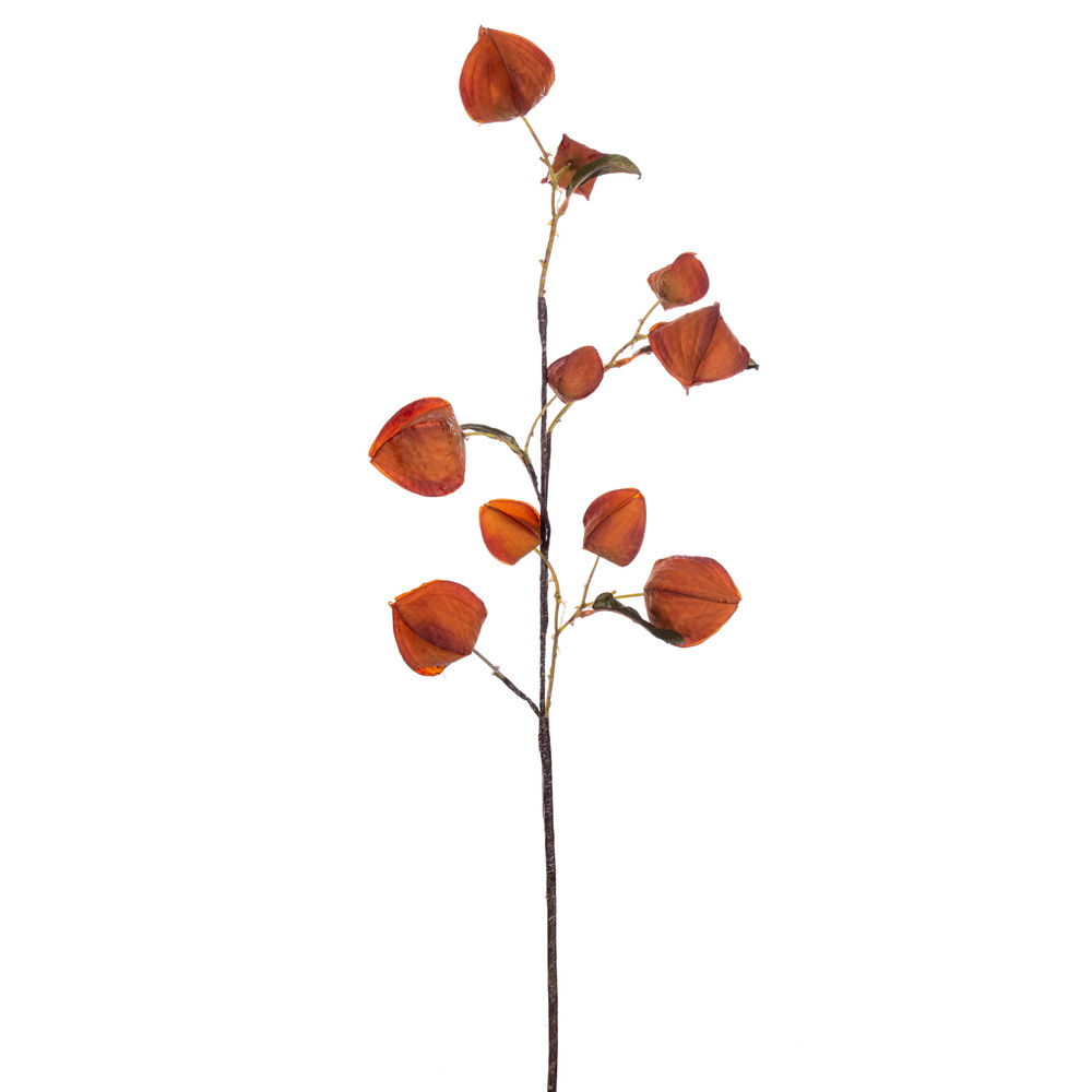 Vickerman 30.5" Dried Lantern Spray