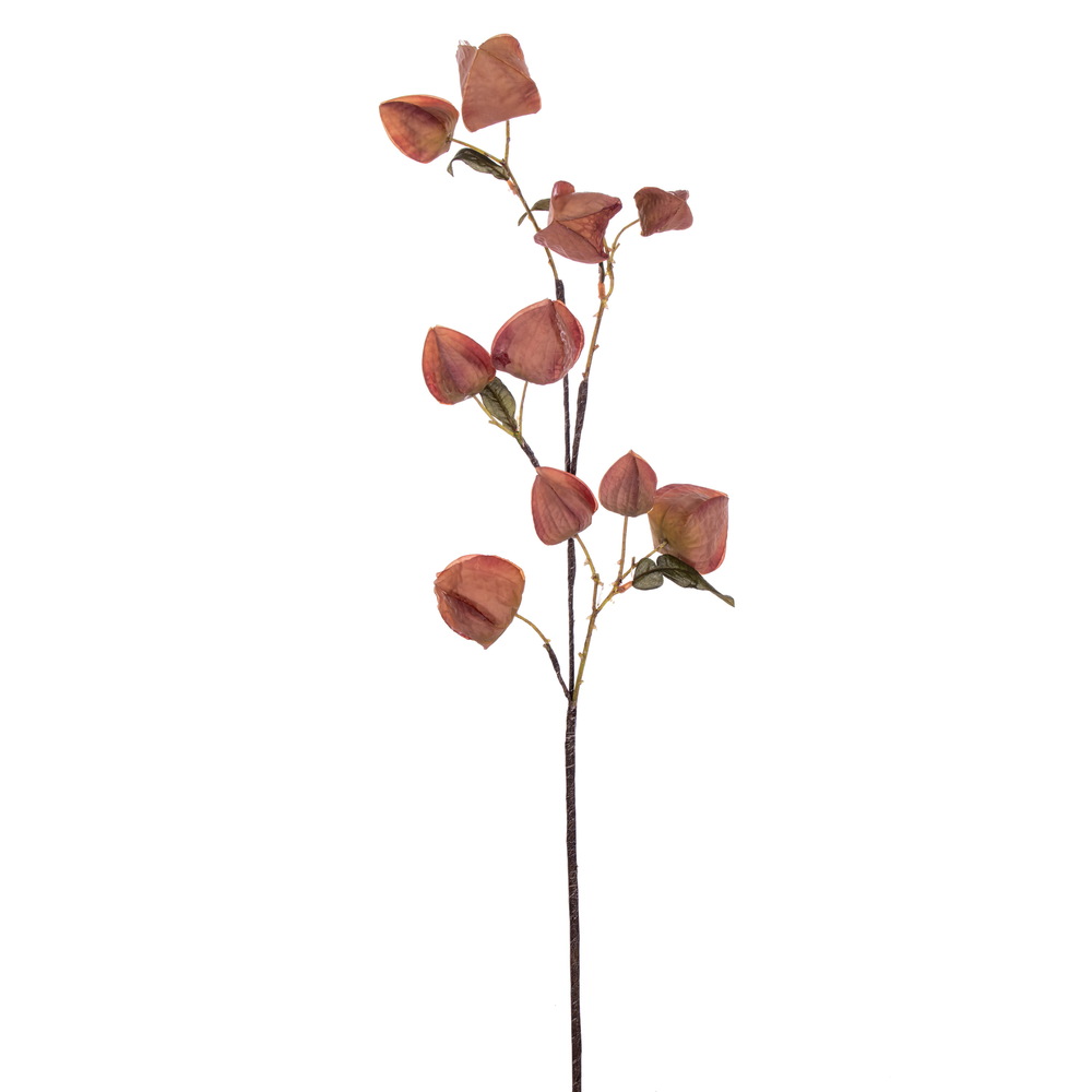 Vickerman 30.5" Dried Lantern Spray