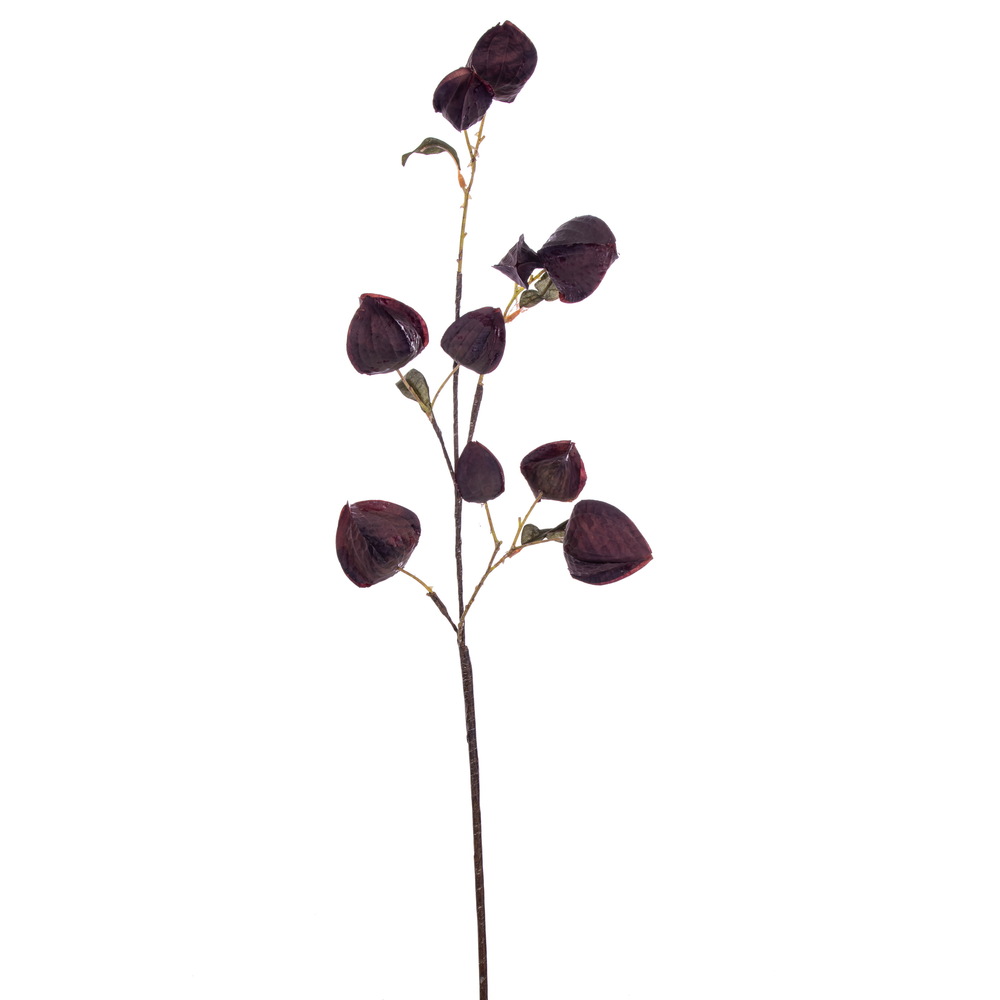 Vickerman 30.5" Dried Lantern Spray