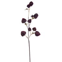 Vickerman 30.5" Dried Lantern Spray