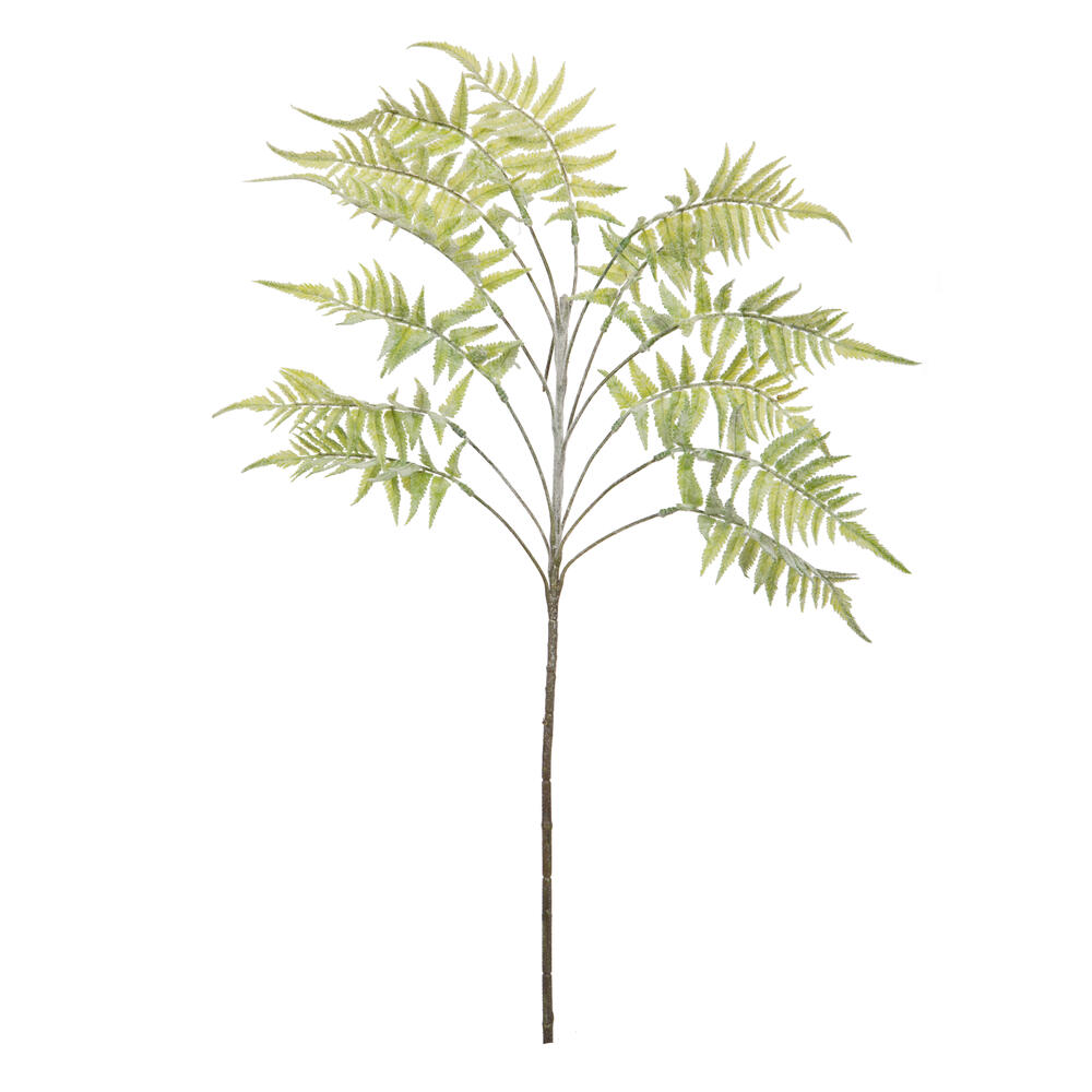 33.5" Light Green Jungle Fern Spray 2/bg