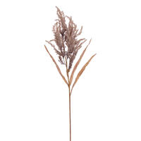 Vickerman Artificial Plum Grass Spray