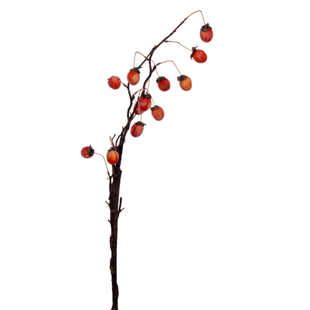 34.5" Orange Persimmon Spray 2/Bag