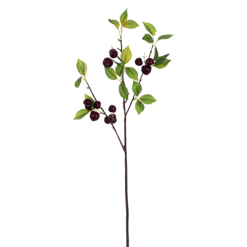 26" Black Cherry Spray 2/Bag