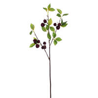 26" Black Cherry Spray 2/Bag