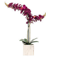 Vickerman 22" Artificial Potted Real Touch Phalaenopsis