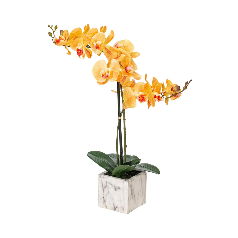 Vickerman 22" Artificial Potted Real Touch Phalaenopsis