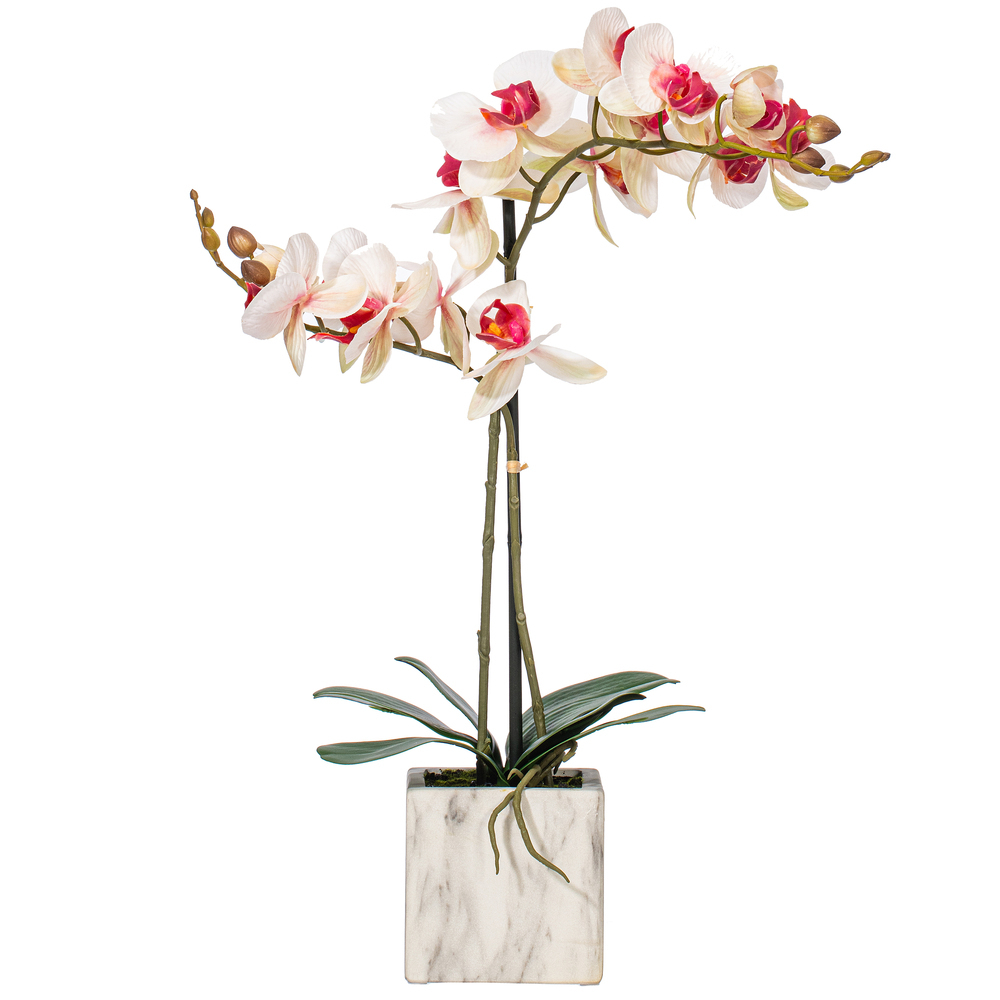 Vickerman 22" Artificial Potted Real Touch Phalaenopsis