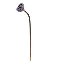27" Brown Lotus Pod 4/Bag
