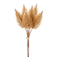 Vickerman 9" Artificial Celosia Stem, 6 per Bundle