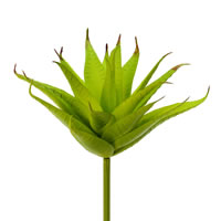 Vickerman Artificial Potted Aloe Vera