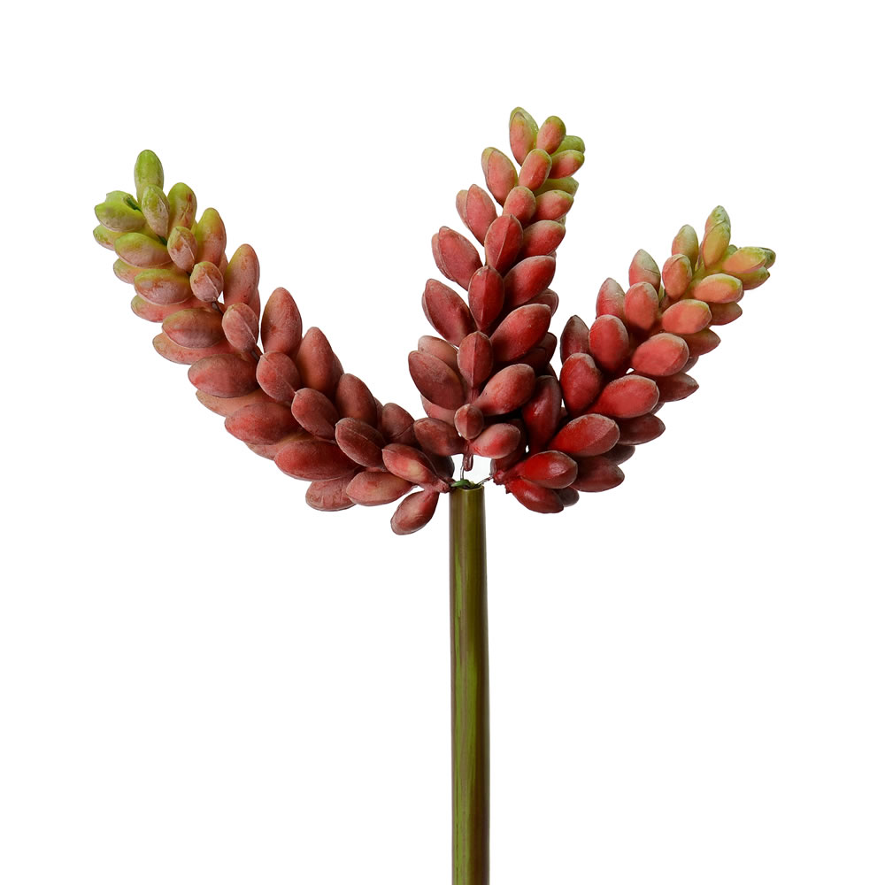 6" Red Jellybean Pick 3/Pk