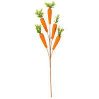 Vickerman Carrot Collection