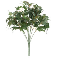 17" Green Star Ivy Bush