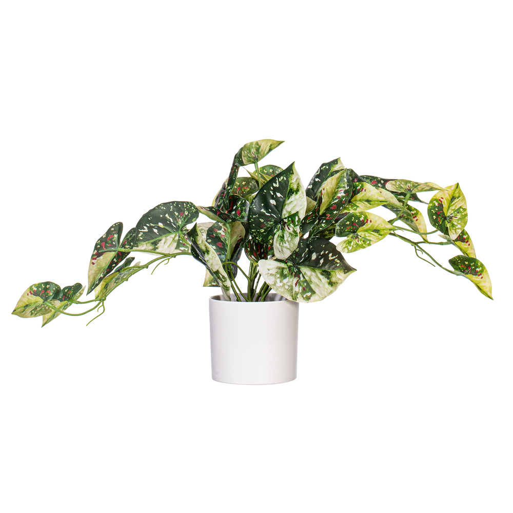 Vickerman 16" Artificial Variegated Leaves in Pot.