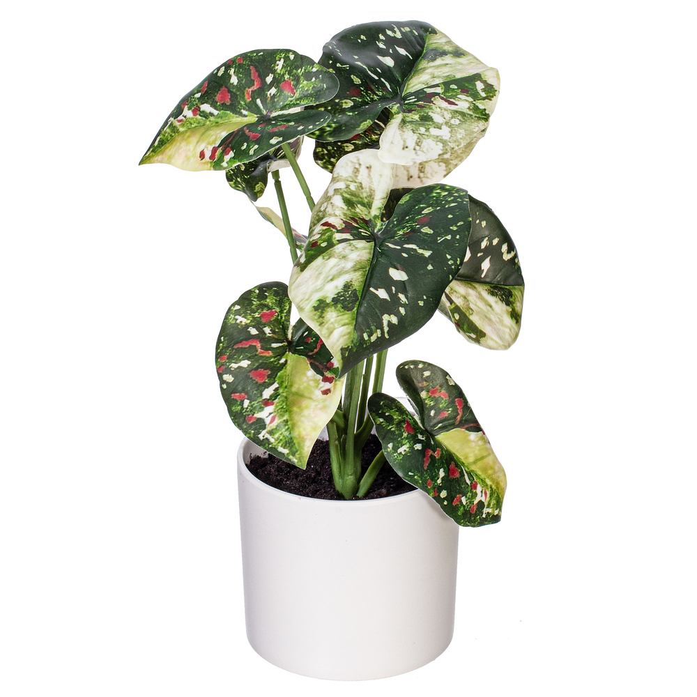 Vickerman 11.5" Artificial Variegated Leaves in Pot, 2 per bag