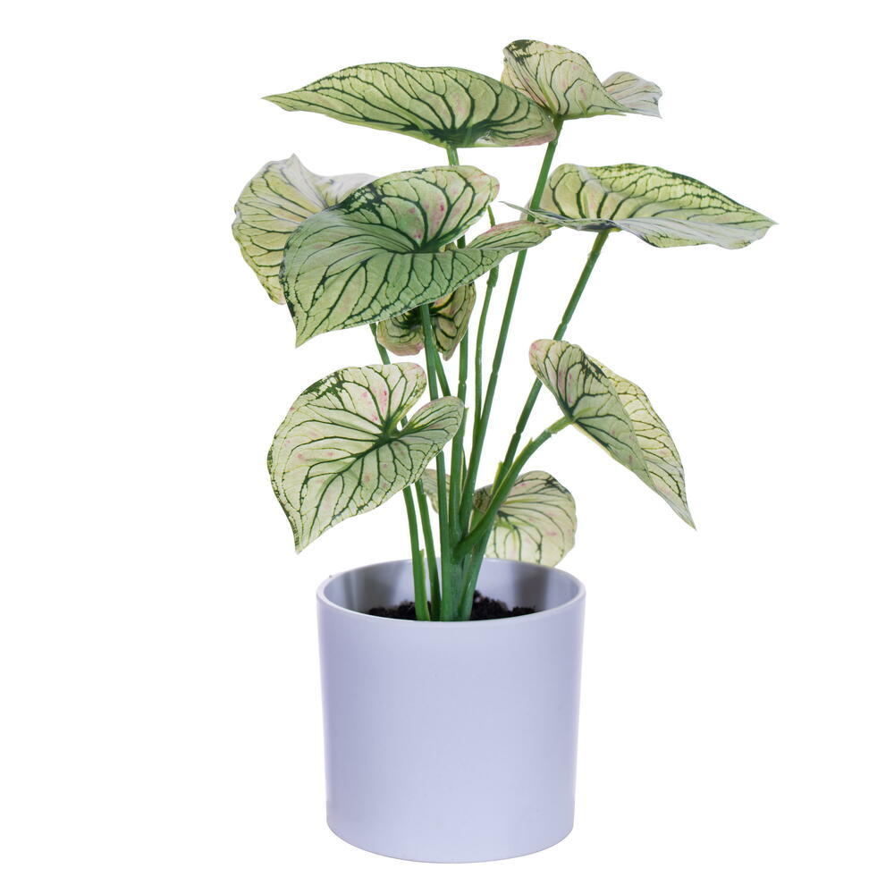 Vickerman 11.5" Artificial Variegated Leaves in Pot, 2 per bag