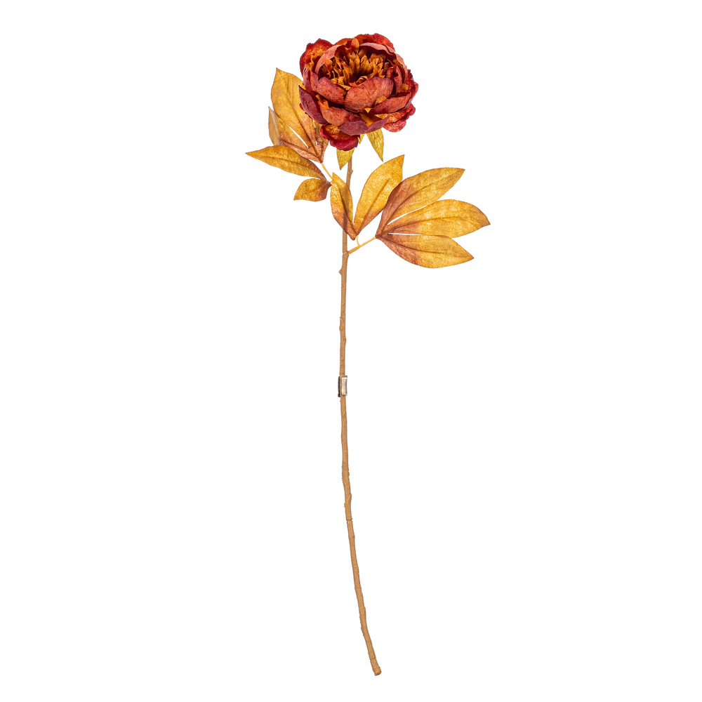 Vickerman 21" Yellow/Brown Peony Stem 6/Bag