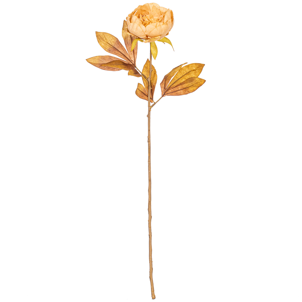 Vickerman 21" Yellow/Brown Peony Stem 6/Bag