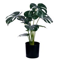 Vickerman Green Monstera Collection