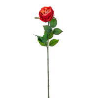 23" Red Peony Rose Stem Fresh Touch 3Bag