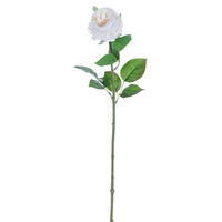 23" White Peony Rose Stem FT 3/Bag