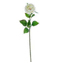 23" Celadon Peony Rose Stem FT 3/Bag