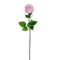 23" Pink Peony Rose Stem FT 3/Bag