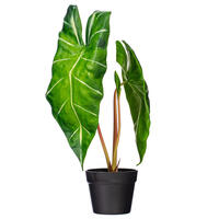 Vickerman Artificial Alocasia Potted Plant