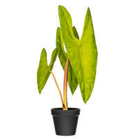 Vickerman Artificial Alocasia Potted Plant