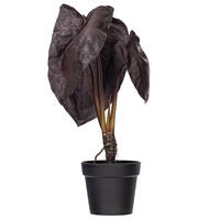 Vickerman Artificial Alocasia Potted Plant