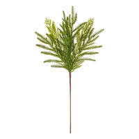 24" Green Soft Norfolk Pine Mix Spray 3/