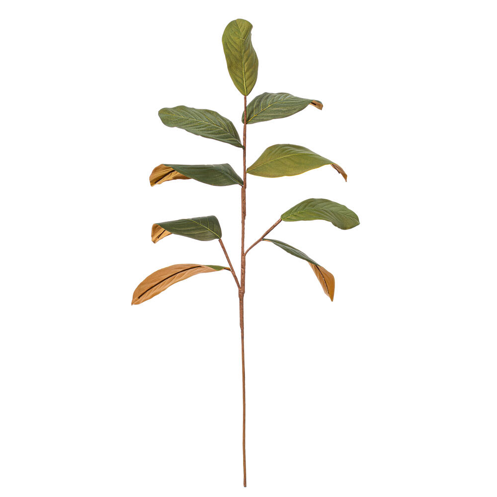 Vickerman Green Artificial Magnolia Leaf Collection