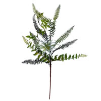 20" Green Fern Pick 2/pk