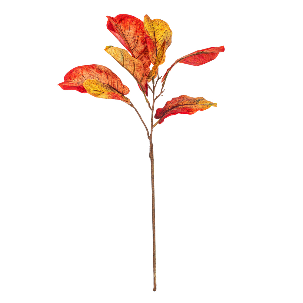 Vickerman Orange Fiddle Leaf Spray.