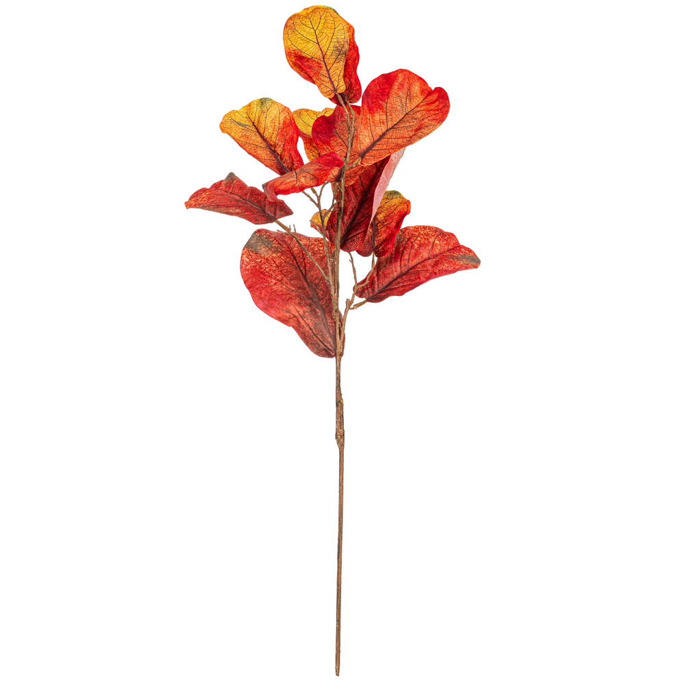 Vickerman Orange Fiddle Leaf Spray.