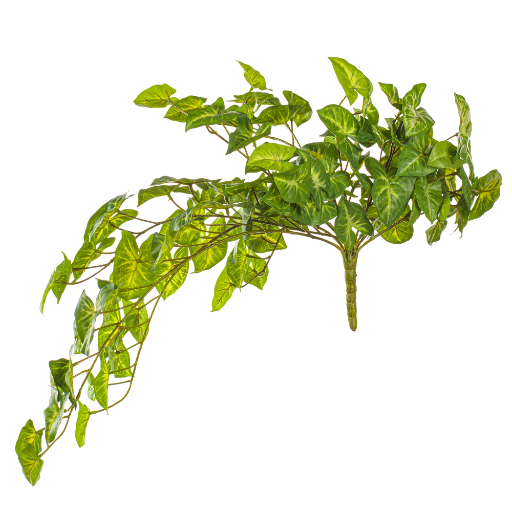 Vickerman Green Artificial Syngonium Bush