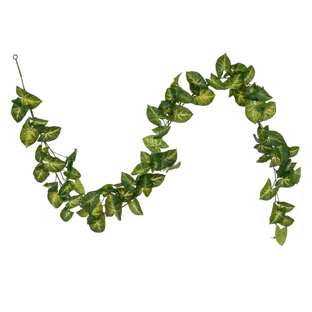 72" Syngonium Garland UV